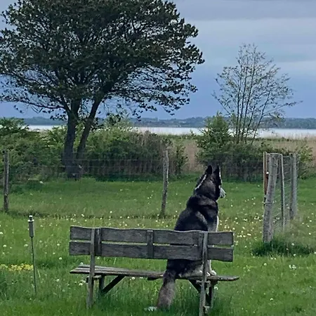 Front-row Summerhouse With View And Big Garden *